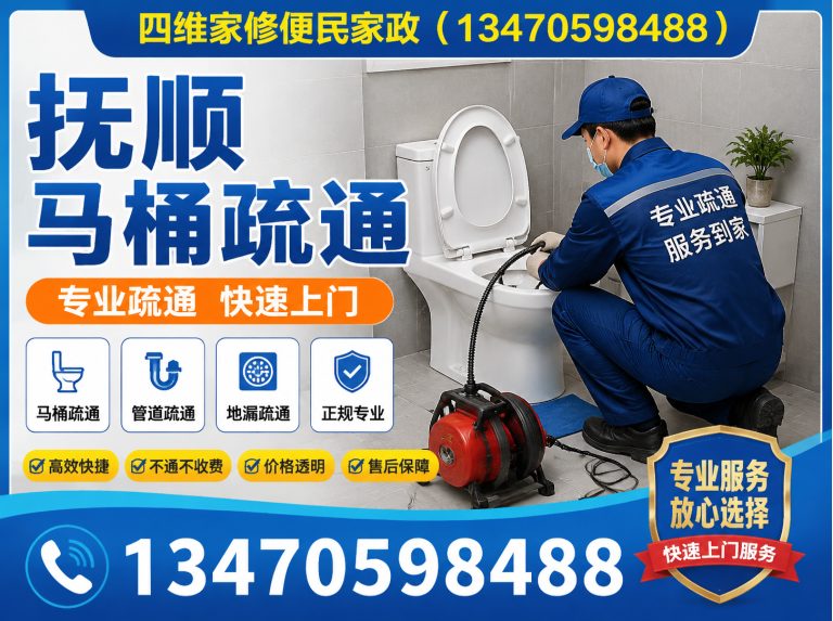 东洲区抚顺马桶疏通展示图
